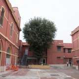 ...il cui cortile interno nasconde il secondo �guardiano�